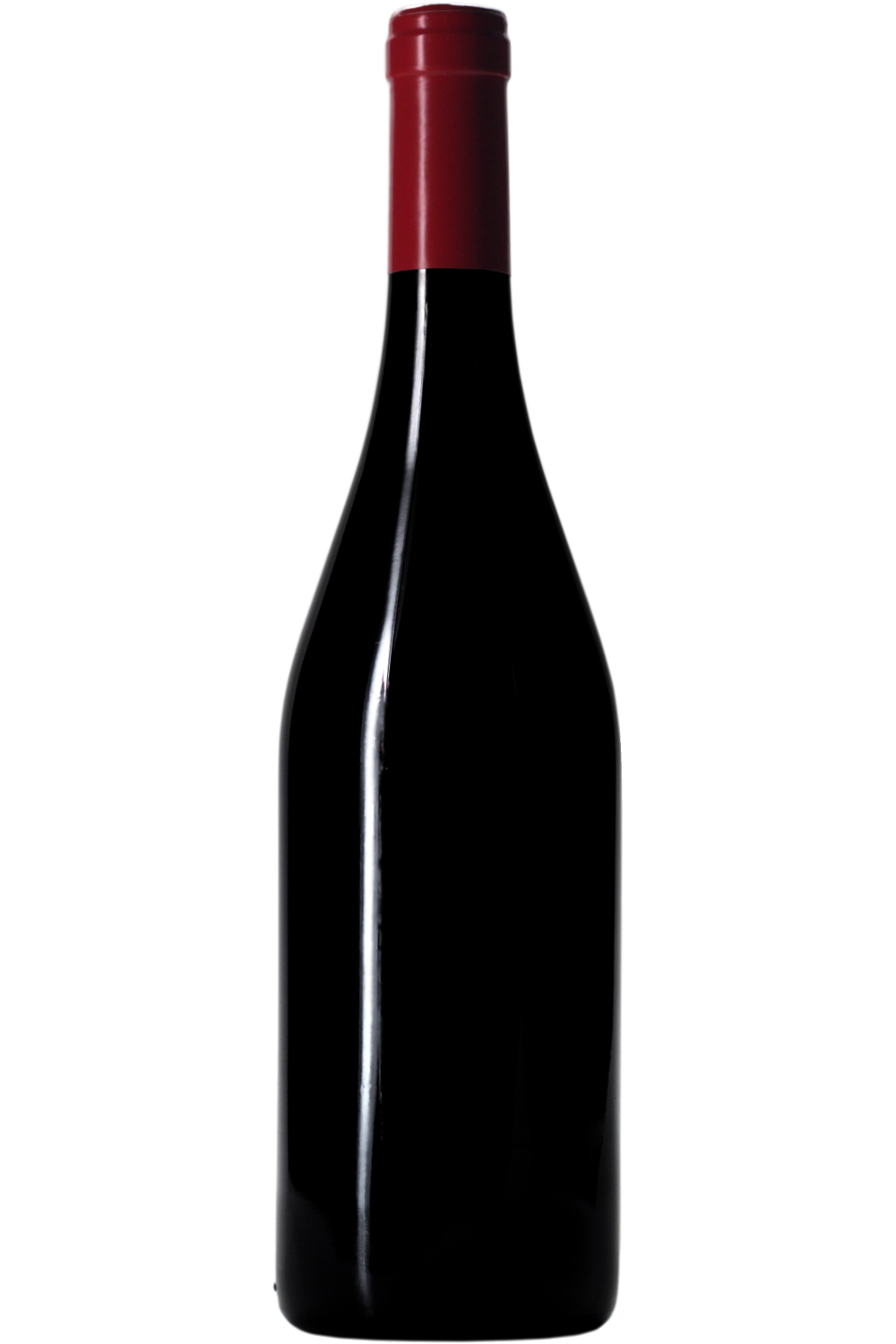 WineVins Clos Rougeard Les Poyeux Tinto 2011